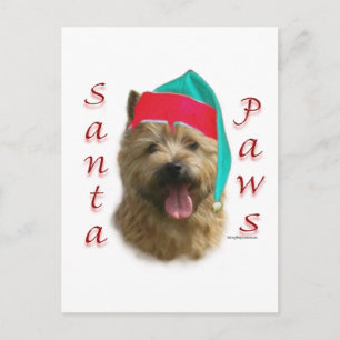 Norwich Terrier Santa Paws Feiertagspostkarte