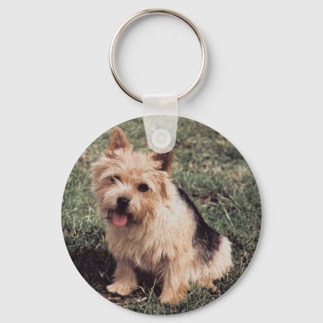 Norwich Terrier Schlüsselanhänger (Vorderseite)