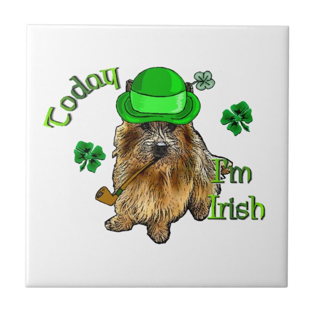 Norwich Terrier St Patricks Fliese (Vorderseite)