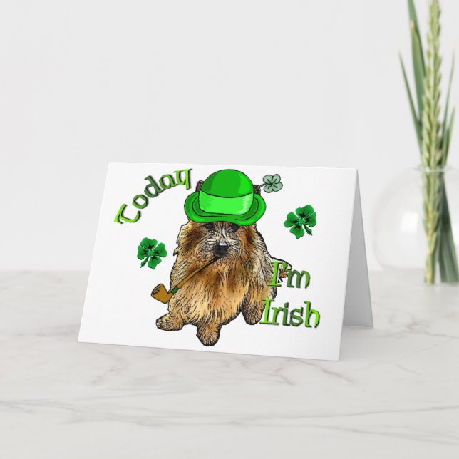 Norwich Terrier St Patricks Karte (Vorderseite)