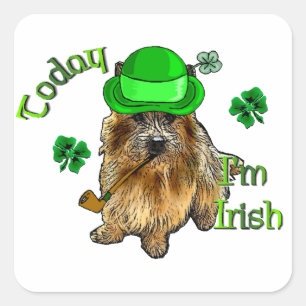 Norwich Terrier St Patricks Quadratischer Aufkleber