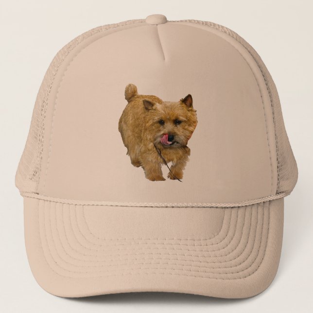 Norwich Terrier Truckerkappe (Vorderseite)
