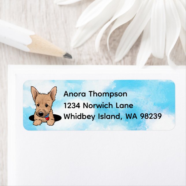 Norwich Terrier Welpe (Insitu)