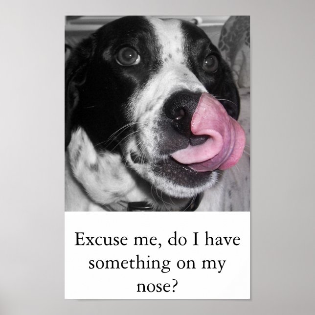 Nose Job Poster (Vorne)