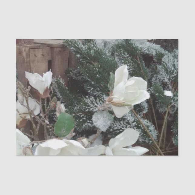 Nosenmusselpapier Seidenpapier (Vorderseite)