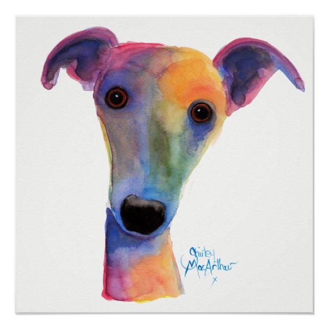 Nosey Dog ' Pansy ' von Shirley MacArthur Poster (Vorderseite)