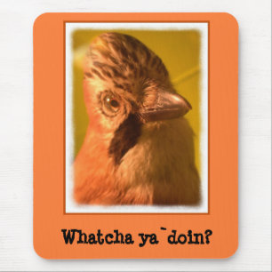 Nosey Jay Bird Mousepad