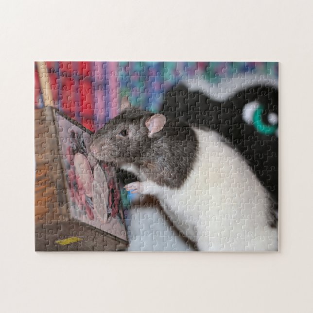 Nosey rat puzzle (Horizontal)