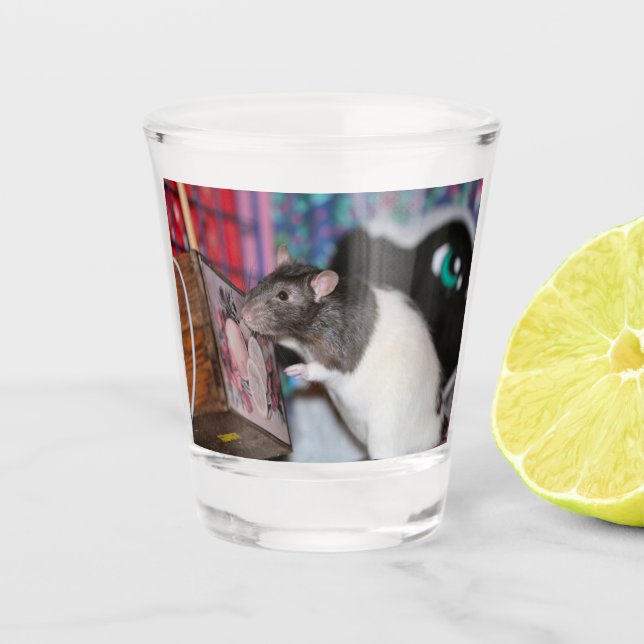 Nosey Schnapsglas (Vorderseite)