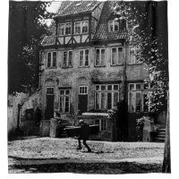 Nosferatu Film noch