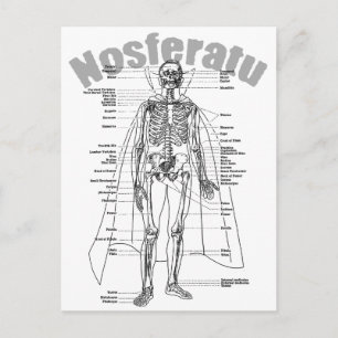 Nosferatu Postkarte