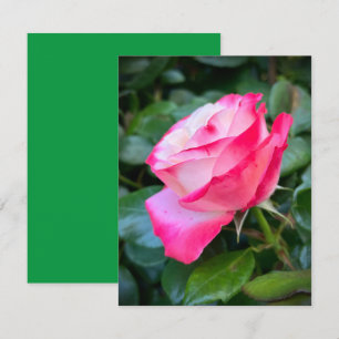 Nostalgie Rose Nostalgie Karte