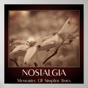 Nostalgie Sepia Hartriegel Blüte Poster
