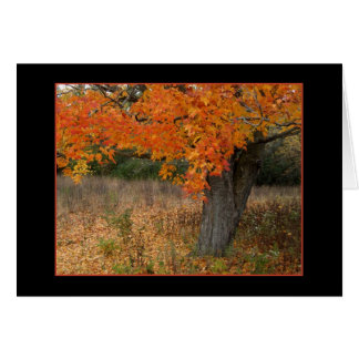 Nostalgische Bernsterkarte