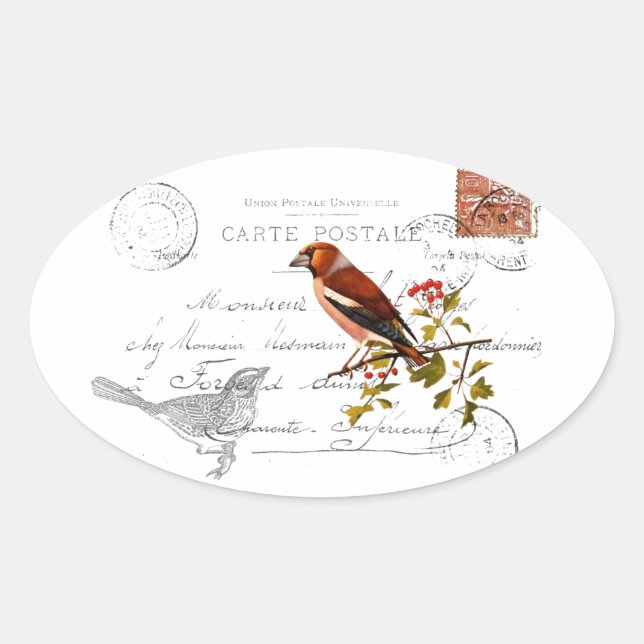 Nostalgisches Motiv  mit Vogel Ovaler Aufkleber (Vorderseite)