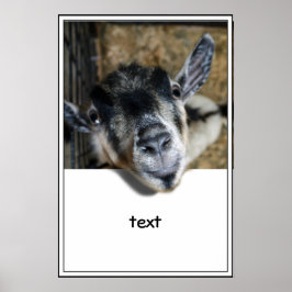 Nosy Goat - Ausblick Poster