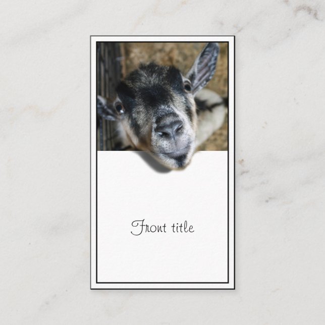 Nosy Goat - Ausblick Visitenkarte (Vorderseite)