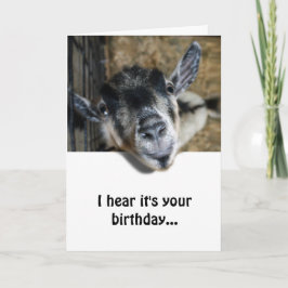 Nosy Goat Looking Up - Geburtstag Karte