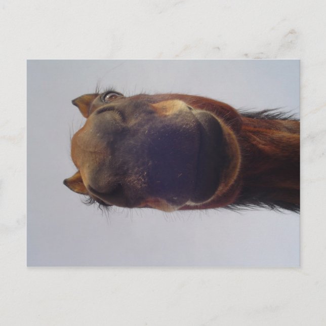 Nosy Postkarte (Vorderseite)