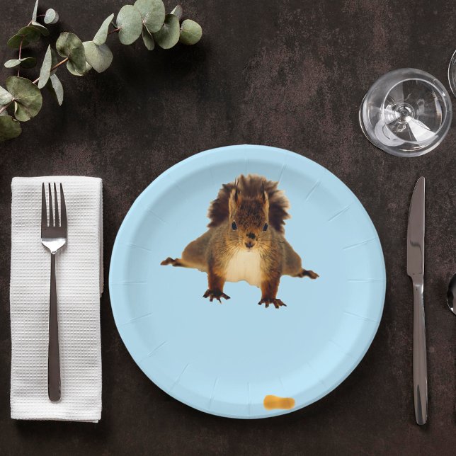 Nosy red squirrel in snow blue pappteller (Von Creator hochgeladen)