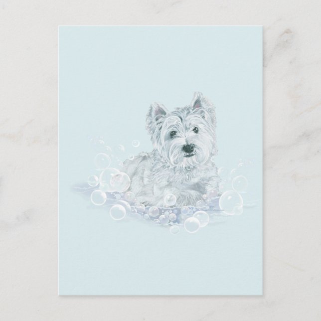 Not Another Postkarte (Vorderseite)