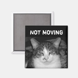 "Not Moving" Crabby Cat Magnet