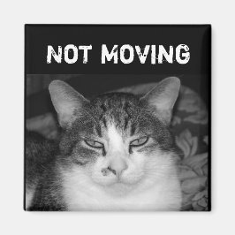 "Not Moving" Crabby Cat Magnet