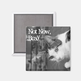 "Not Now, Busy" Magnet