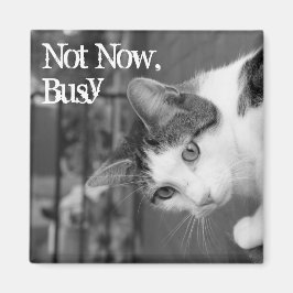 "Not Now, Busy" Magnet