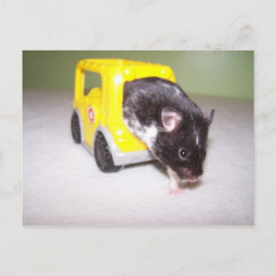 Notausgang Noah Postkarte