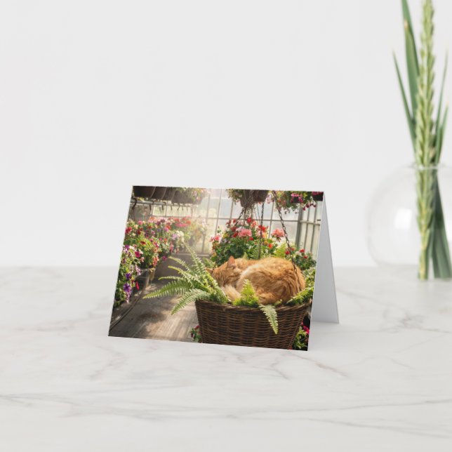 Note Card Cat Napping in Hanging Fern Basket Karte (Vorderseite)