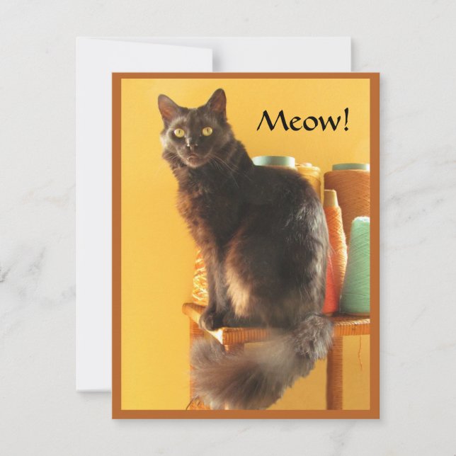 Note Card - Crafty Cat Mitteilungskarte (Vorderseite)