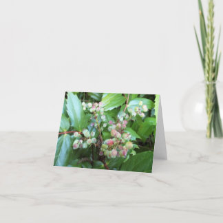 Note Card der systemeigenen Pflanze Karte