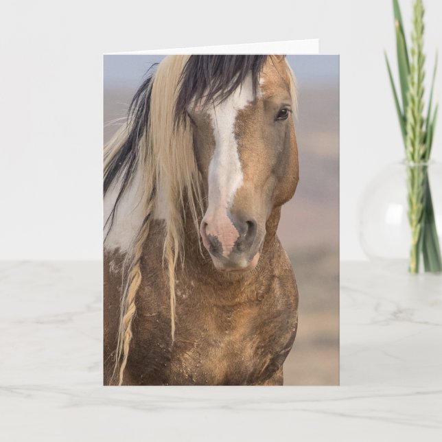 Note Card "Golden Boy" Karte (Vorderseite)