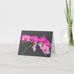 Note Card, Magenta Moth Orchid Spray of Blume Karte