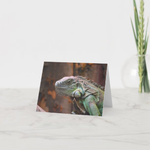 Note Card mit farbiger Iguana-Eidechse Karte