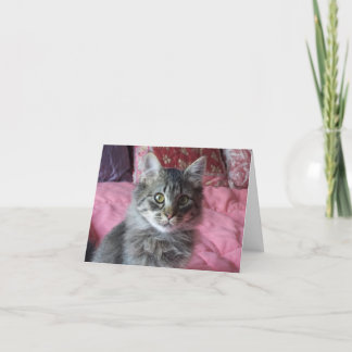 Note Card mit kittendem Foto Karte