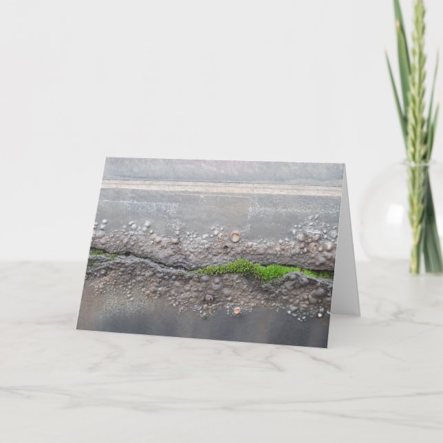 Note Card "Moss" Dankeskarte (Vorderseite)