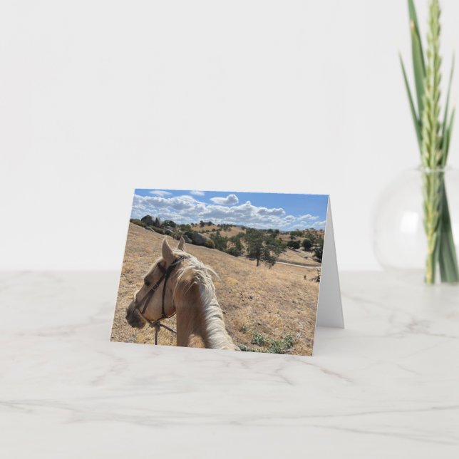 Note Card, Palomino Pferd und Blue Sky (Vorderseite)