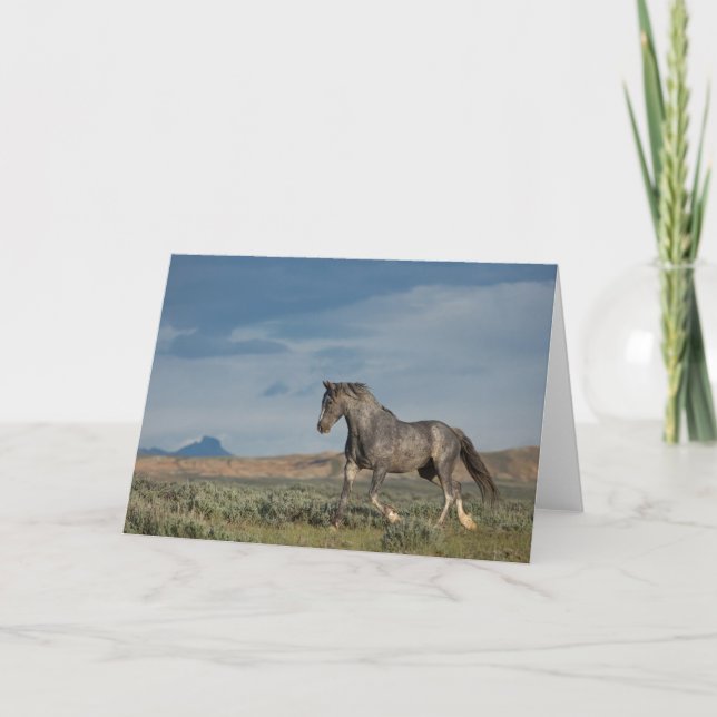 Note Card "The Gray Ghost" Karte (Vorderseite)