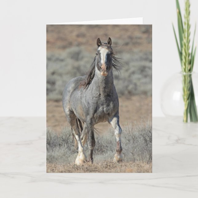 Note Card "The Real Wild One" Karte (Vorderseite)