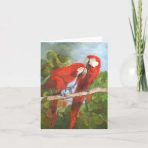 Note Card - Tropische Vögel Karte