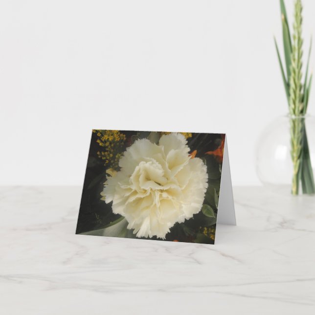Note Card White Carnation Beauty Karte (Vorderseite)