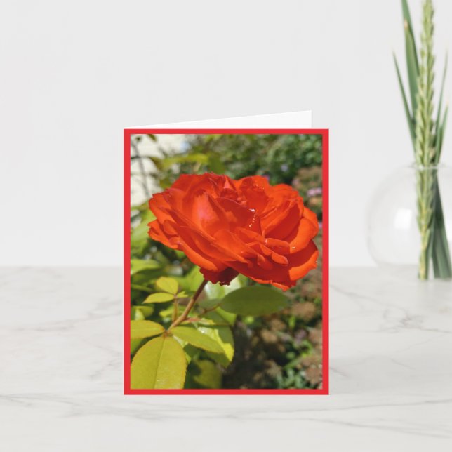 Note Card zur vollen Rote Rose Dankeskarte (Vorderseite)