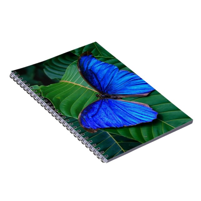 Notebook-Butterfly Notizblock (Rechte Seite)