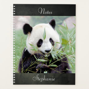 Notebook-Foto Riesenpanda , Tiere 02. Notebook Planer