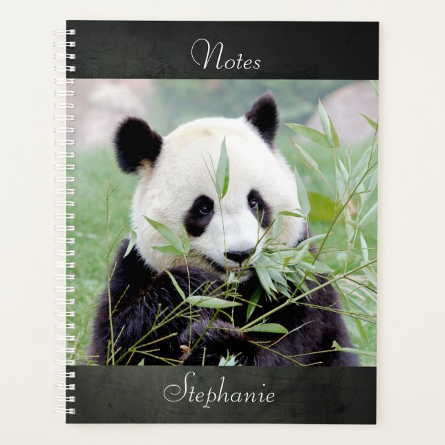 Notebook-Foto Riesenpanda , Tiere 02. Notebook Planer (Vorderseite)
