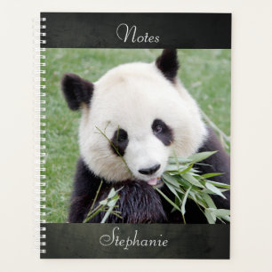 Notebook Foto Riesenpanda , Tiere 03. Notizbuch Planer