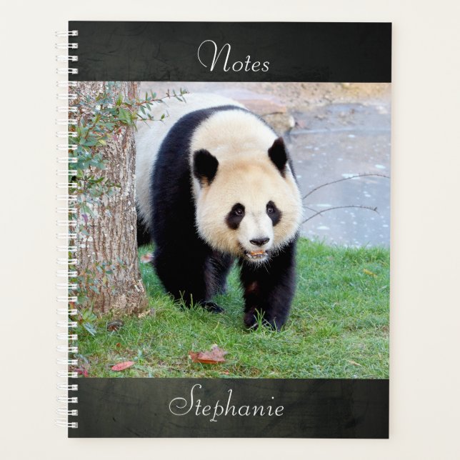 Notebook Foto Riesenpanda , Tiere 05. Notebook Planer (Vorderseite)