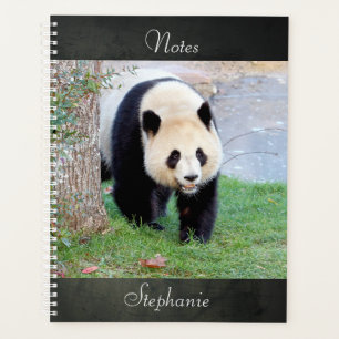 Notebook Foto Riesenpanda , Tiere 05. Notizbuch Planer